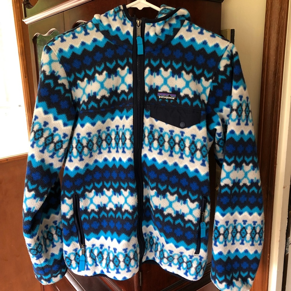 Patagonia Synchilla Hooded Fleece